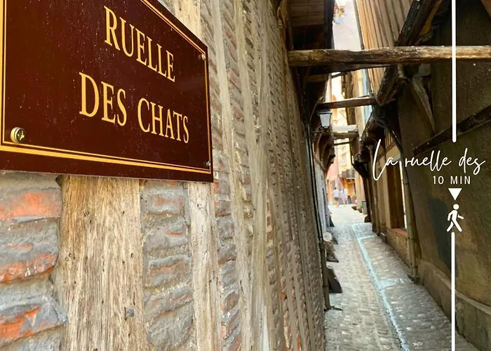 Le Cordelier - Jardin En Plein Centre - Quais De Seine Troyes