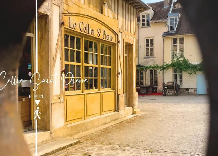 Semesterbostad Le Cordelier - Jardin En Plein Centre - Quais De Seine