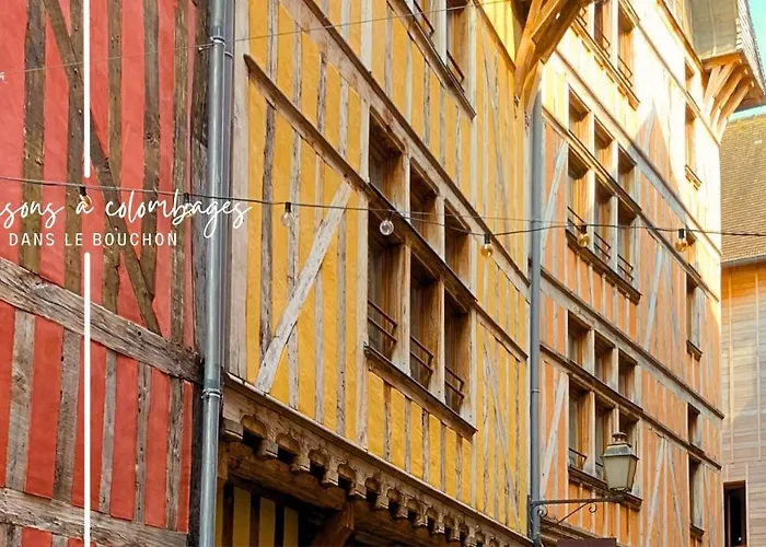 Semesterbostad Le Cordelier - Jardin En Plein Centre - Quais De Seine *