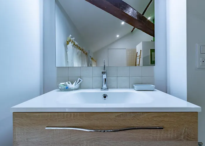 Semesterbostad Le Cordelier - Jardin En Plein Centre - Quais De Seine Troyes